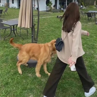 顾问